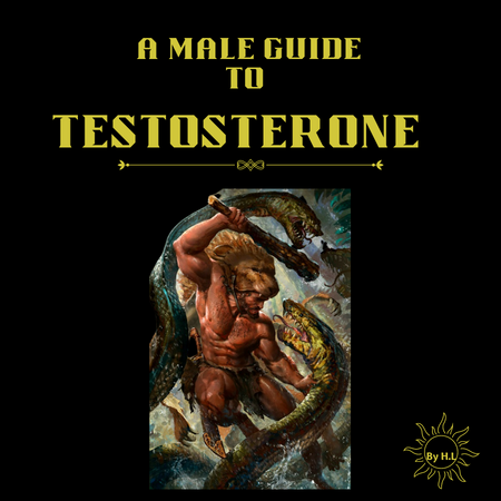 A Male Guide to Testosterone - Ebook